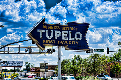 Professional pest control services in Tupelo MS